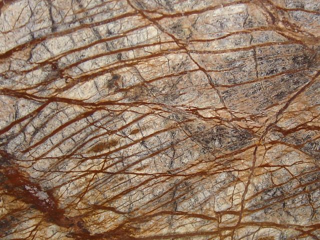 Forest Brown