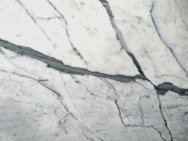 Statuario Venato