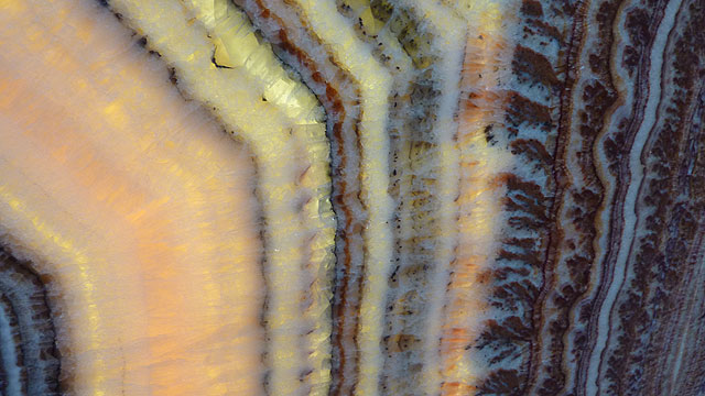 Fantastico Detail