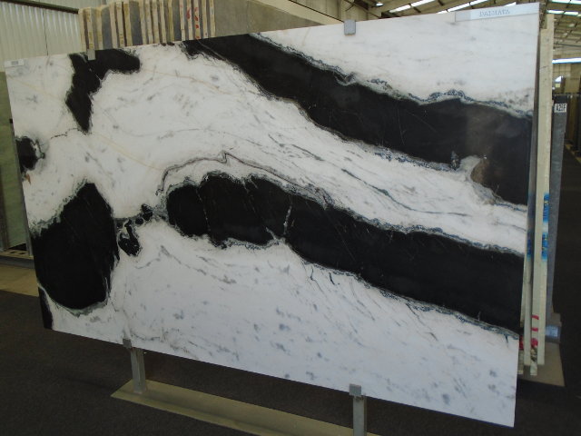 Dalmata