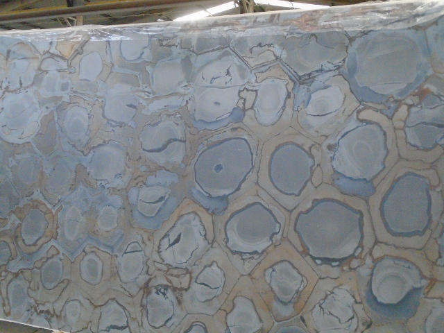 Tartaruga Satin