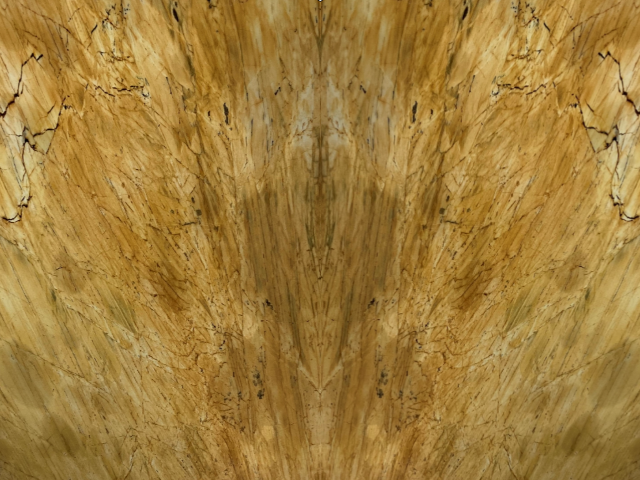 Thesaurus