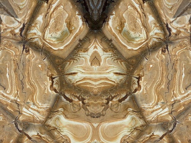 Palomino