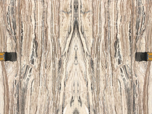 Traveronyx