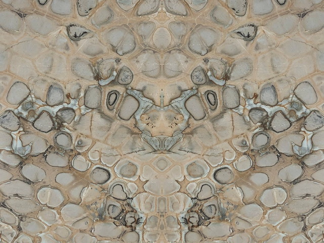 Tartaruga